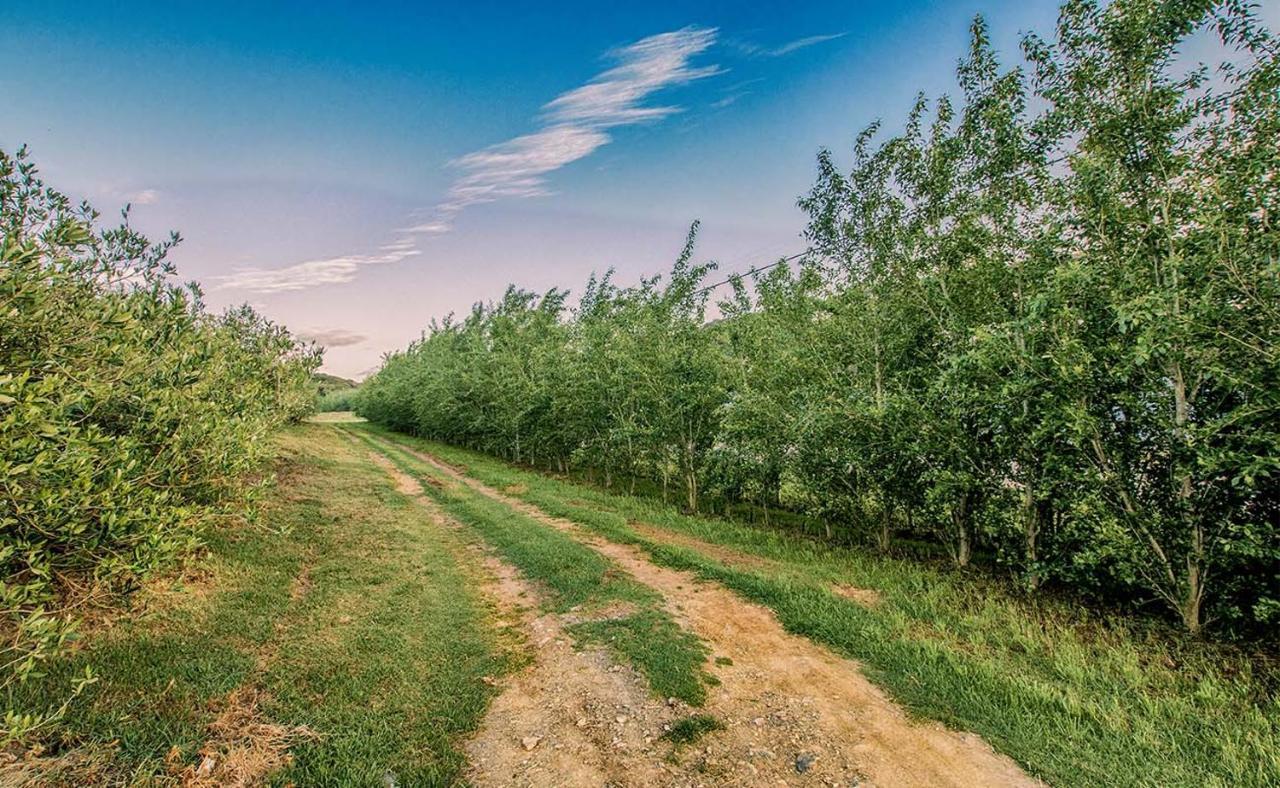 Вилла Oudewerfskloof Olive Farm Стилбай Экстерьер фото
